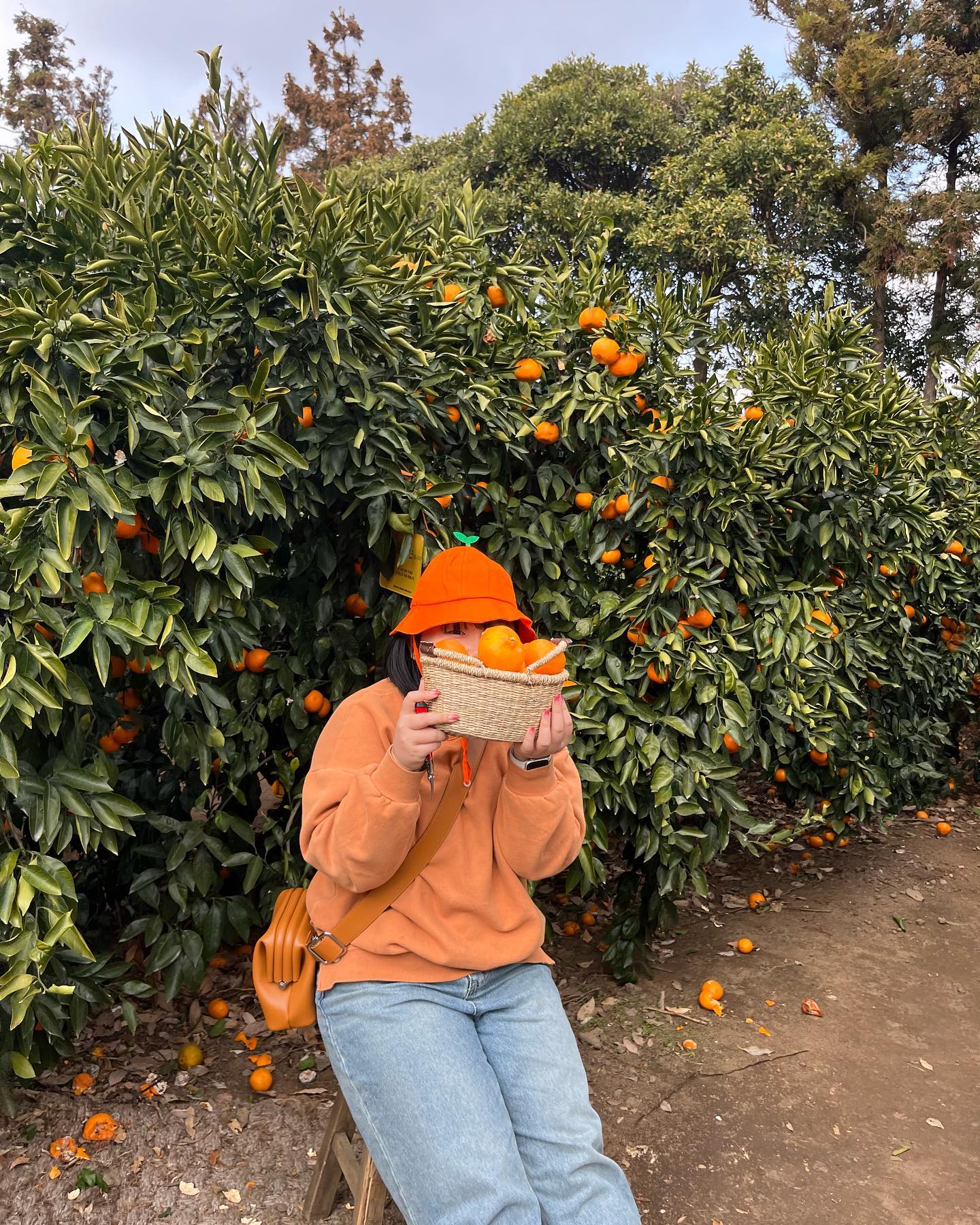 🍊