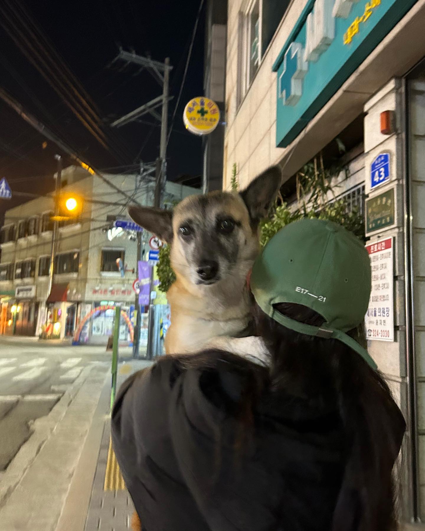 김사랑 바보