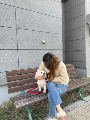 [꼬리펫] 강아지목줄