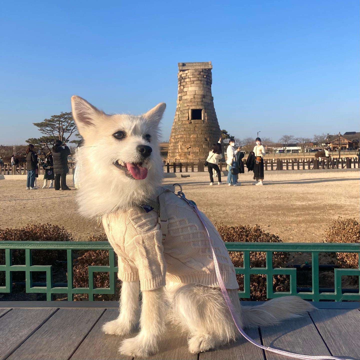첨성대 안뇽🐶