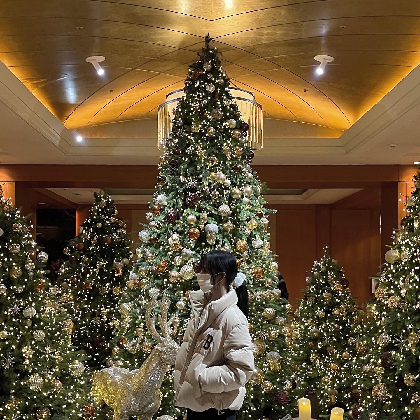 2022년의 마지막 날🎄