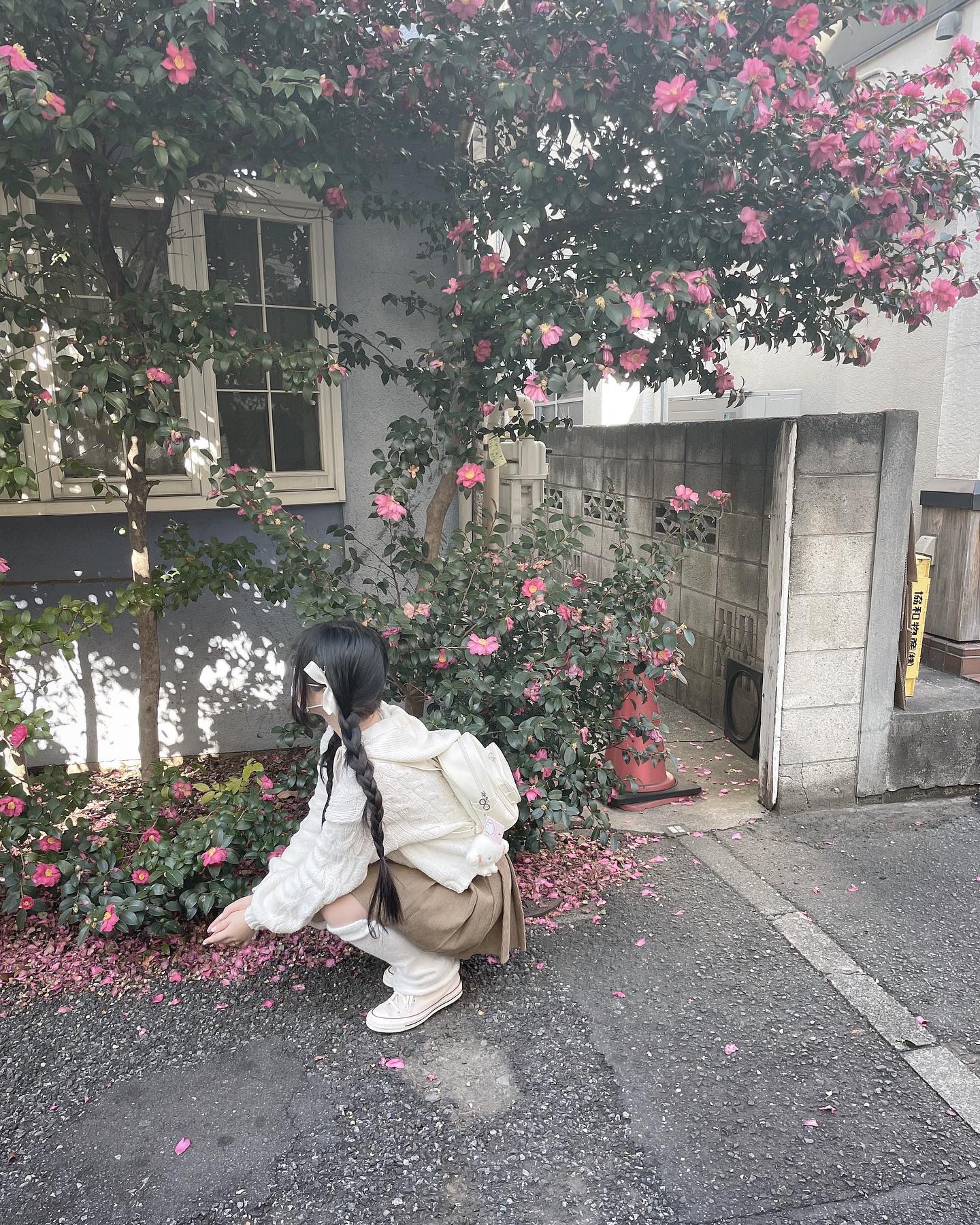 花！🌸