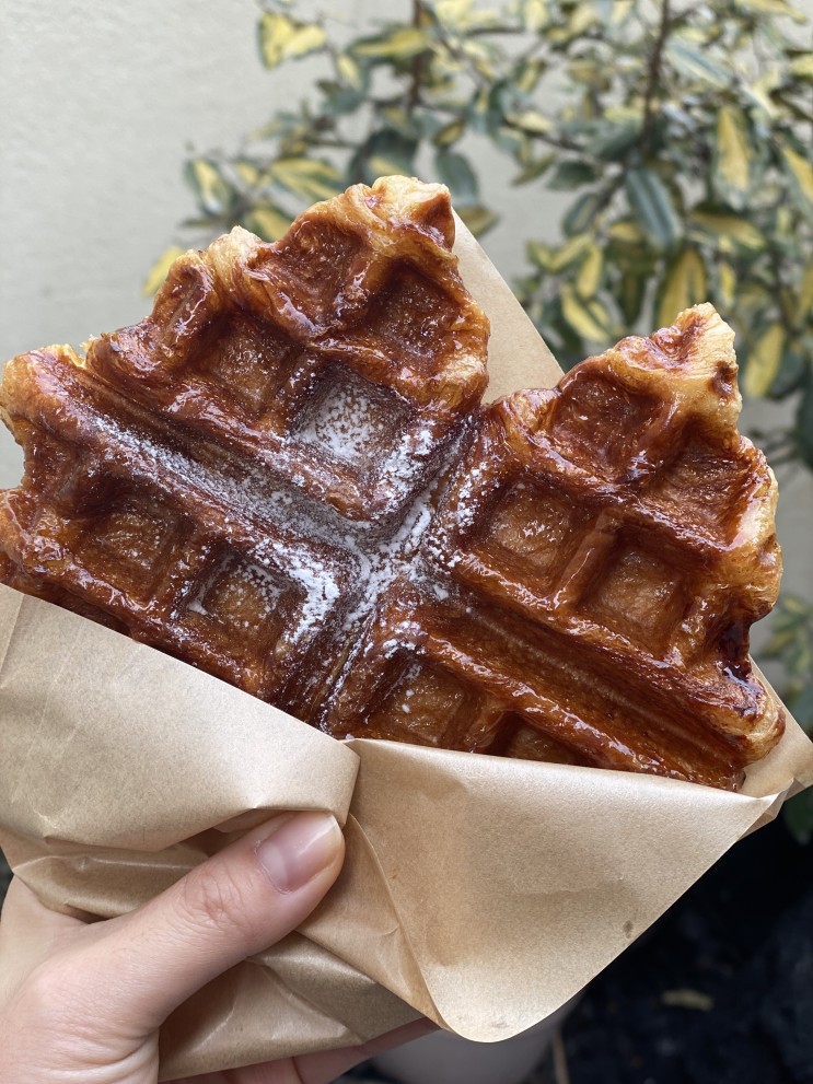 신사역 카페 새들러하우스 가로수길 크로플 맛집 추천