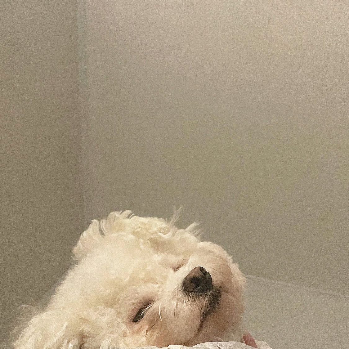 잘 자 자기야 💫