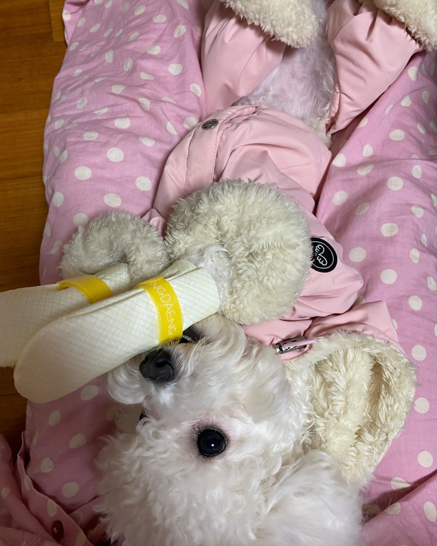 콘텐츠