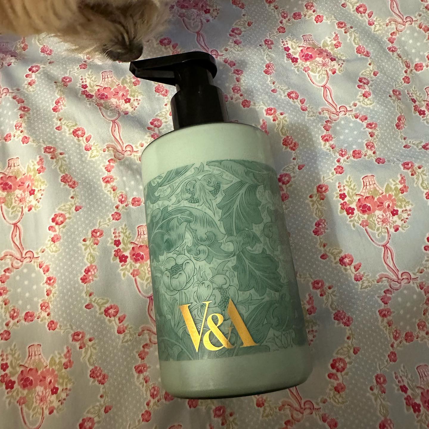V&A 센티드 바디로션 프레시 부케

나를 꽃집 향에 미치게 만든 바로 그 바디로션,, 이 바디로션도 바르면 꽃집향이 장난아님,,보습력도 괜찮은 것 같고 우선 향이 꽤 오래간다💐

물론 호불호가 갈릴 순 있으나,, 나는 이 향기를 엄청 좋아한다🌺바디 워시도 있었는데 여기 제품들이 가격이 꽤 나가서,,(백화점에도 입점해있다고 들음) 바디 로션만 쓰는 중! 근데 짐승용량이라 진짜 오래 쓸 것 같다🌸

#v&a#바디로션#바디로션추천#꽃집향#꽃향#플라워마켓#프레시부케#향기#향기스타그램#보습#브이앤에이#코덕#코덕맞팔#좋은냄새