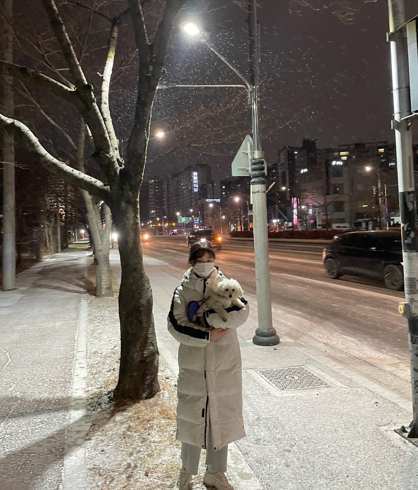 눈이다 눈🌨️❄️