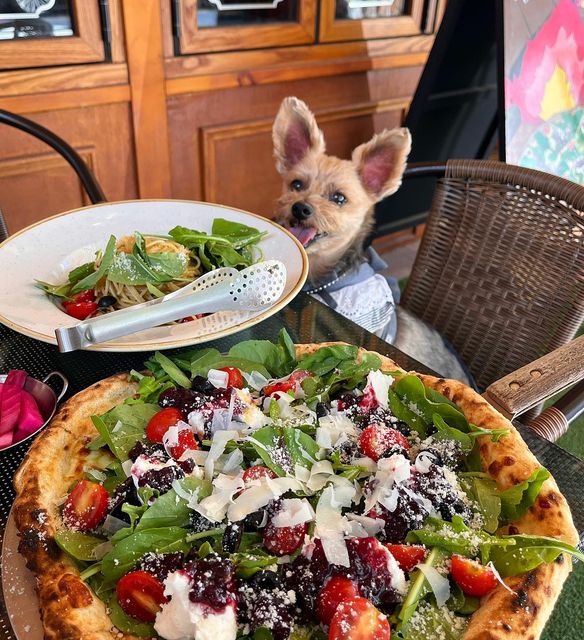 리치누나 먹스타그램 on Instagram: "📌이태리옥 (야외테라스만 🐶가능)
❤️: 9.3/10
📝 보정동 화덕피자는 이태리옥으로‼️💯

🍽 리피자 + 토마토알리오올리오

🍕이태리옥의 시그니처 리피자‼️쫄깃한 화덕 피자 도우에 치즈가 같이 구워져, 그 위로 신선한 루꼴라 한가득💚 거기다 리코타 치즈가 중간중간 들어가있는데 그 위에 와인 특제소스와 신선한 토마토들이 올라가 있어 리피자를 더욱 맛있게 만들어준다💓
샐러드 느낌의 피자들을 많이 먹어봤지만 이곳 리피자는 루꼴라가 굉장히 많이 들어가져 있었고 그 덕분에 샐러드 먹는 느낌이 나서 🫶🏻양이 많은데도 한조각도 안남기고 다 먹었다🐷  특제소스가 달달해서 쌉쌀한 루꼴라랑 너무 잘 어울렸다 🥹 
시그니처 피자인 이유를 단번에 알 수있을 만큼 맛있었움‼️👍🏻
그리고 항상 이태리옥을 오면 BEST메뉴인 명란 로제 파스타만 먹었는데,,이번에는 약간 매콤함이 땡겨 알리오올리오로 주문🤍
알리오 올리오는 정석대로 실패없이 맛있게 먹었다~ 페퍼로치노의 매콤함과 올리브유와 마늘의 조합은 항상 옳다💯 ㅎㅎㅎ그위에 또 신선한 루꼴라가 한가득이라 ,, 이날 정말 루꼴라로 배를 한가득 채웠당🌱

🔥개인적으로 처음 이태리옥을 가는 분들한테는 리피자와 명란로제크레마를 조금 더 강추💓🫶🏻

🐶 반려견 야외테라스만 가능
야외테라스가 입구를 기준으로 양옆에 두개 테이블이 있는데 테이블이 완전히 떨어져 있기 때문에 반려견 데리고 밥을 먹기에 너무 편하고 좋았다👍🏻

🏠 경기 용인시 기흥구 죽전로15번길 16-3
⏰영업시간 : 매일(11:30~22:00, 15:00~17:00브레이크타임)
⚠️추석연휴 9/9~12 (11:30~22:00, 16:00~17:00브레이크타임)

#용인 #용인맛집 #보정동맛집 #보정동카페거리 #죽전카페거리 #죽전맛집 #분당맛집 #수원맛집 #피자맛집 #수지맛집 #카페거리"