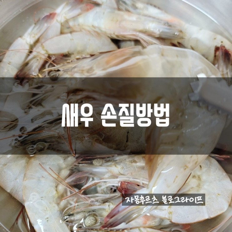 새우 손질법 ; 고바다수산 신안 대하새우 에어프라이어 구이
