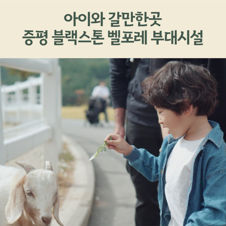 증평 블랙스톤 벨포레 리조트 벨포레목장, 루지, 놀이공원 등_부대시설편