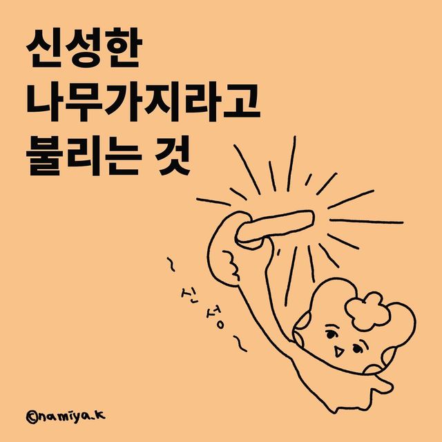 일상툰, 직장인툰, 릴스 혼자사는 호랑이 이야기 on Instagram: "#광고 #팔로산토

인센스스틱, 팔로산토를 아시나요?🤔
고대문명에서는 ’향‘의 연기를 피움으로써 부정적인 감정을 정화, 진정시키는 역할로 많이 사용했답니다!

인센스 스틱에는 향이 정말로 많은데, 그 중 ’팔로산토향‘을 보신 적 있을거예요 :) 

바로 이 나무짝대기(?)가 팔로산토랍니다🪵

팔로산토는 ’인센스 스틱‘이라 불리지 않고 ’스머지 스틱‘ 이라고 불리우는데, 인센스처럼 잘 태울 수 있게 가공된 상태가 아닌 실제 나무, 잎을 말려서 태우는 것이라 좀 더 짙고 깊은 향을 느끼실 수 있답니다?
(팔로산토말고도 로즈마리,화이트세이지 등이 있어요💚)

명상을 꾸준히 하고있는 저로써 ‘향수’보다 ‘향’을 더 선호하는데요!

인센스스틱에 질려갈 때쯤 라뜰 담당자님 덕분에 알게된 스머지스틱으로 하루하루 이너피-스 하고 있는 요즘! 

샤쉐 또한 포켓형태로 되어 있어 여기저기 활용도가 좋더라고요🍃
(샤쉐말고도 콘,스틱 등 다양한 형태가 있어서 고르는 재미가 좀 있었습니다👀)

인센스 스틱보다 새로운 걸 펴보고싶다✋
마음을 정화하고 싶다✋

하시면 라뜰에서 구경해보세요💚
.
.
.
#명상 #마인드풀니스 #스머지스틱 #이너피스 #신성한나무 #인센스스틱 #인센스콘 #요가 #마음챙김 #향의역사 #일상툰 #상품리뷰 #팔로산토후기 #차량용방향제 #샤쉐 #집들이선물 #사쉐"