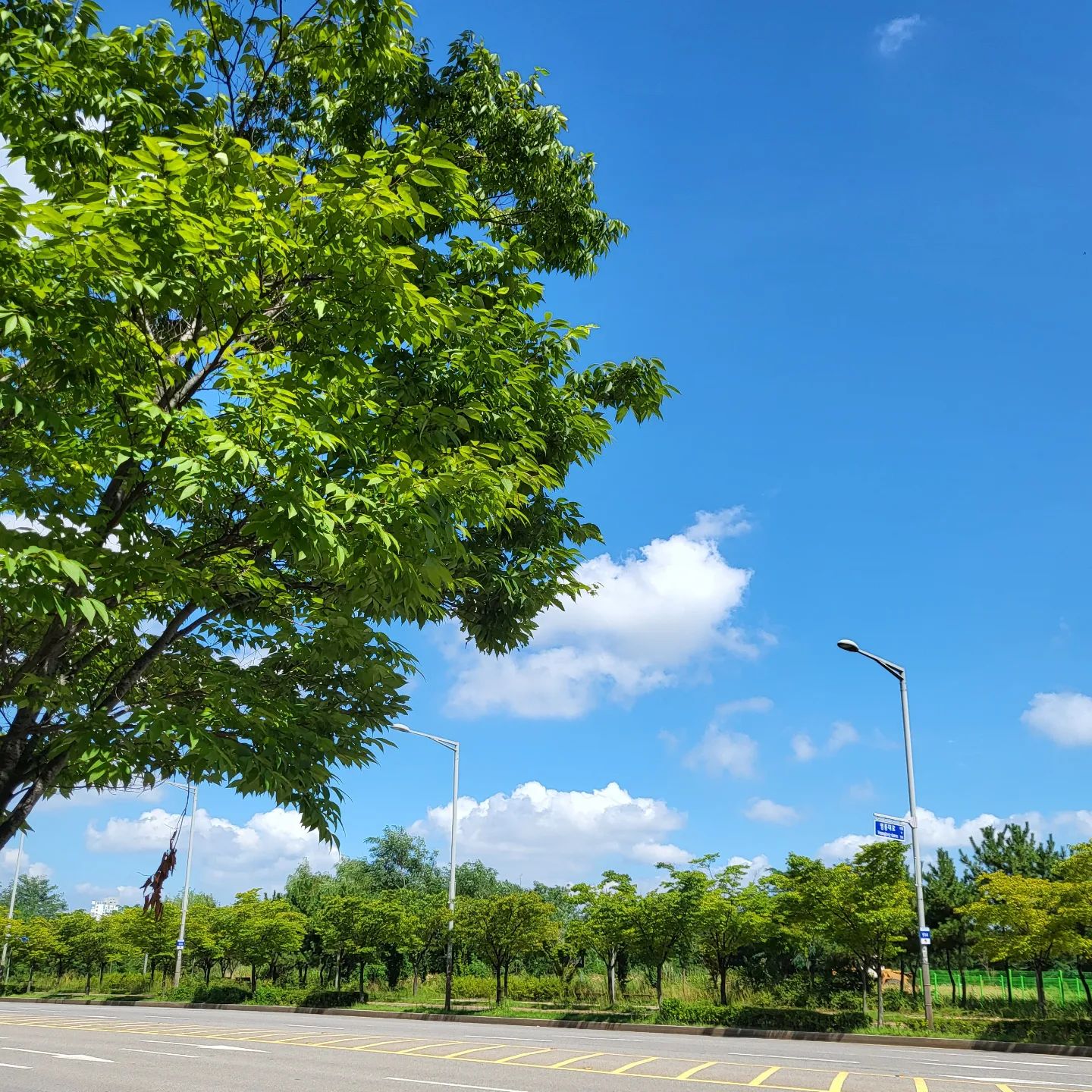 날씨가 좋던 작년 8월 어느날,
올해에도 싱그러운 하루가 가득하길🌱
.
.
.
#일상 #daily