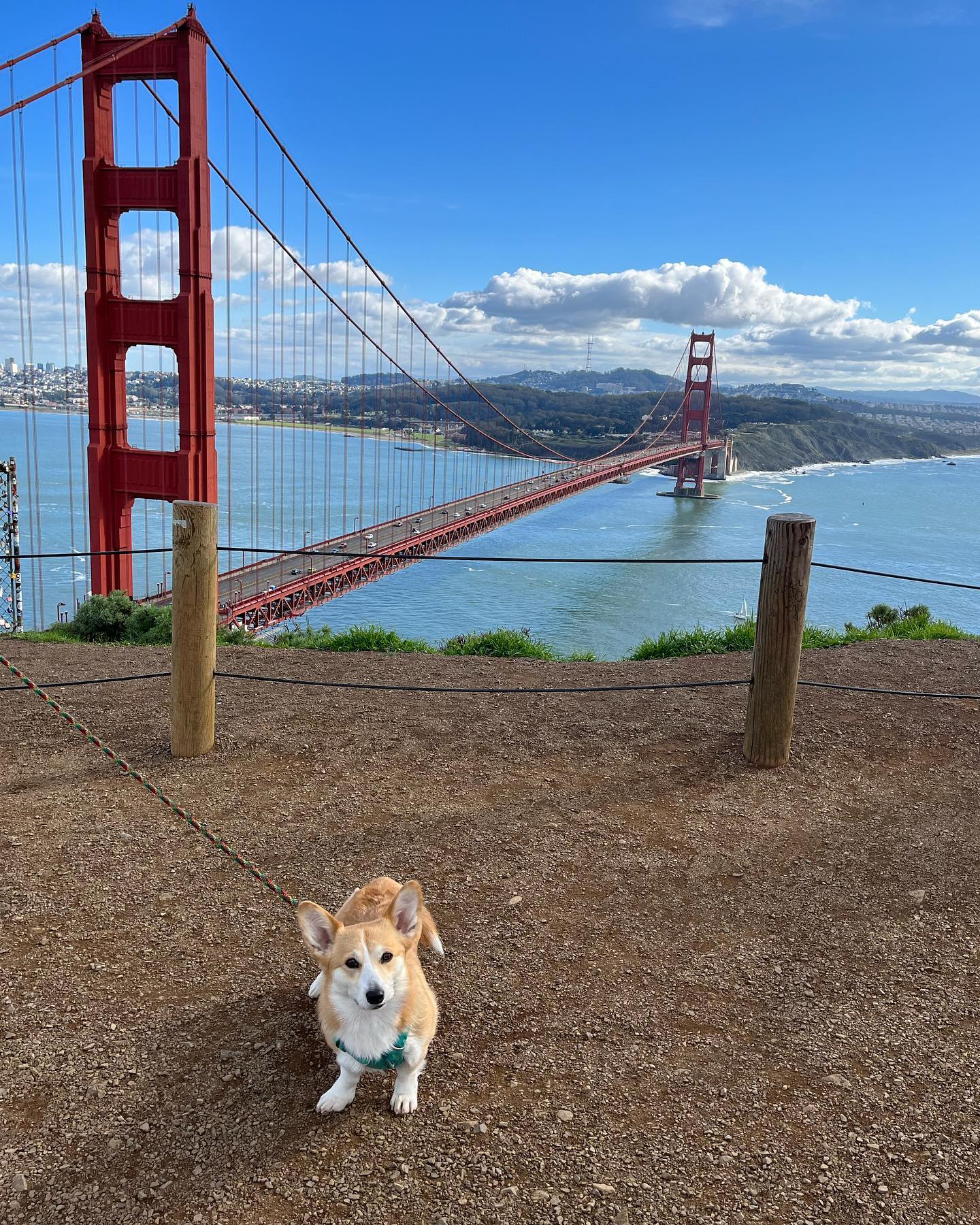 San Francisco native here and I still never get tired of this view. 🤩