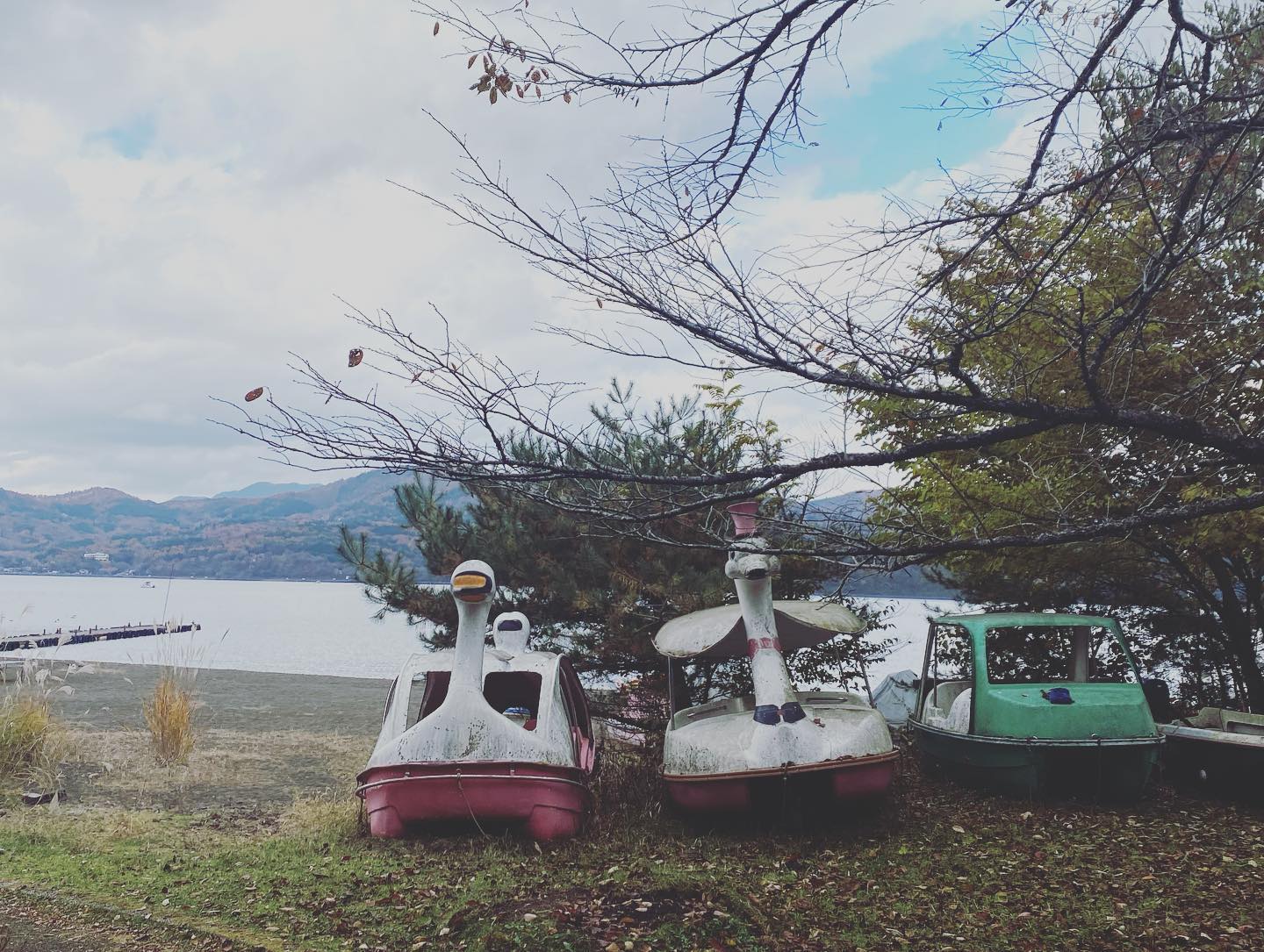 야마나카 호수의 가을 🍂

#japan #山中湖