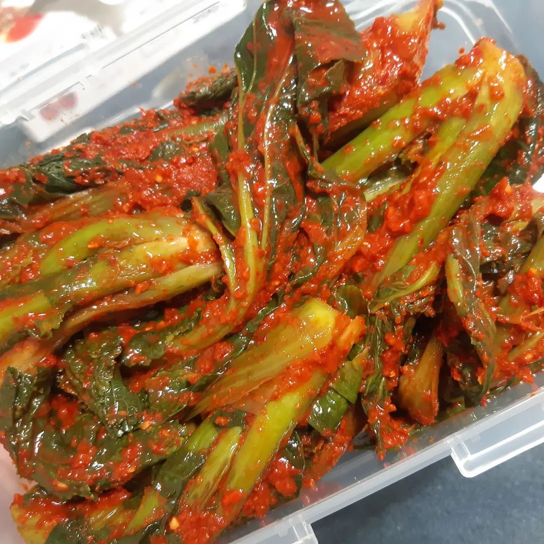 #협찬 #갓김치 가 왜 GOD 김치인지 아시는 분! #여수돌산갓김치
왜냐구요.. 맛있으니깐요 진짜 아무데나 올려먹어도 맛있는 #김치 니까요,, 
흙 원래 배추김치파였는데 몇 년 전에 갓김치 한 번 먹고 진차 맛있어서 갓김치 러버 됐잖아요 ㅠㅠ 흙 아직 안 드셔보신 분 있다면 얼른 드셔보세요..🥰 왜 이제야 먹었나 후회할 맛..
저는 보통 갓김치 + 카레 조합 진짜 좋아하거든요,, 다른 거 거창할 필요없이 자취생이라 김치에 3분카레에 밥만 해서 먹어도 진짜 좋아하눈데 왤케 잘 어울리는지 모르게써여 진짜! 짜파게티에 같이 먹어도 맛있구요! 👏 라면이든 찬물에 밥 말아서 갓김치만 올려먹어도 행복,,😘
양도 1키로 라서 든든하구! 밀봉 빻 잘 돼서 오고  크고 실하게 깔끔하게 와서 뜯어서 보관할 때도 편해요! 전 며칠 꺼내두고 좀 익혀서 맛있게 먹고있답니다 헤
 물론 안 익었을 때 먹어도 사각사각 아삭아삭 하니 맛있어요! 안 익을 때 먹었어도 아 이거 안 익었을 때도 진짜 맛있는데 익으면 엄총나게 맛있어지겠는걸 하면서 익는거 기다렸어요😍 결과는 대성공..❤
갓김치 열무김치는 진짜 여수 돌산 갓 김치에서 시켜드세요 흙.. 
입 맛 없을때 입 맛 돌아오게 하기 최고에요 진짜 ㅠㅠ😂 

yeosudolsangadkimchi

#먹스타맞팔 #먹스타그램 #먹팔맞팔 #선팔하면맞팔 #먹스타 #여수맛집 #여수김치 #여수맛집추천 #여수여행 #여수핫플 #여수선물 #여수기념품 #여수기념선물 #여수가볼만한곳 #김치 #갓김치 #김치맛집 #김치맛있는곳 #맛있다 #선물추천 #맘카페 #주부그램 #주부스타그램 #맘스타그램 #김장김치