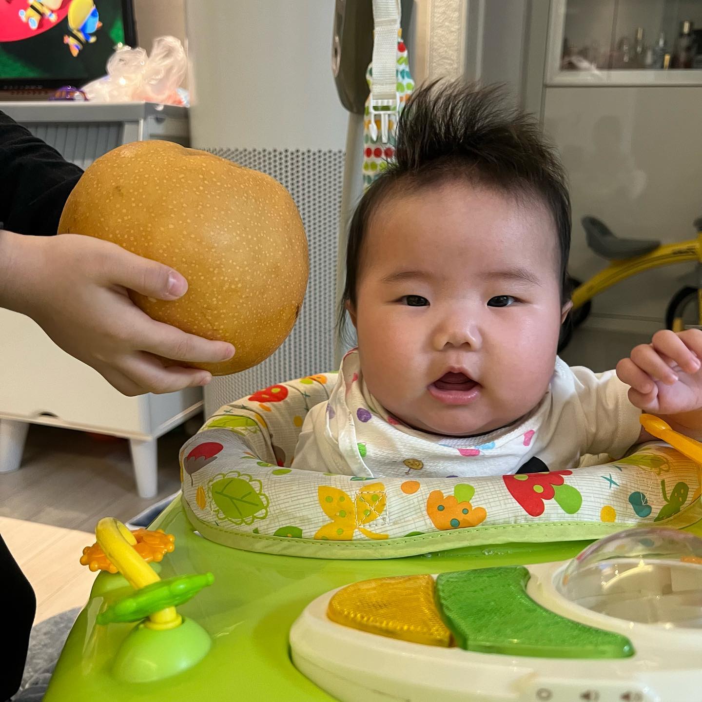 ◡̈

할미가 주신 배
하리얼굴만해서 모자 씌워봄ㅋㅋㅋ
졸지에 배가 된 하리찡⌯'▾'⌯