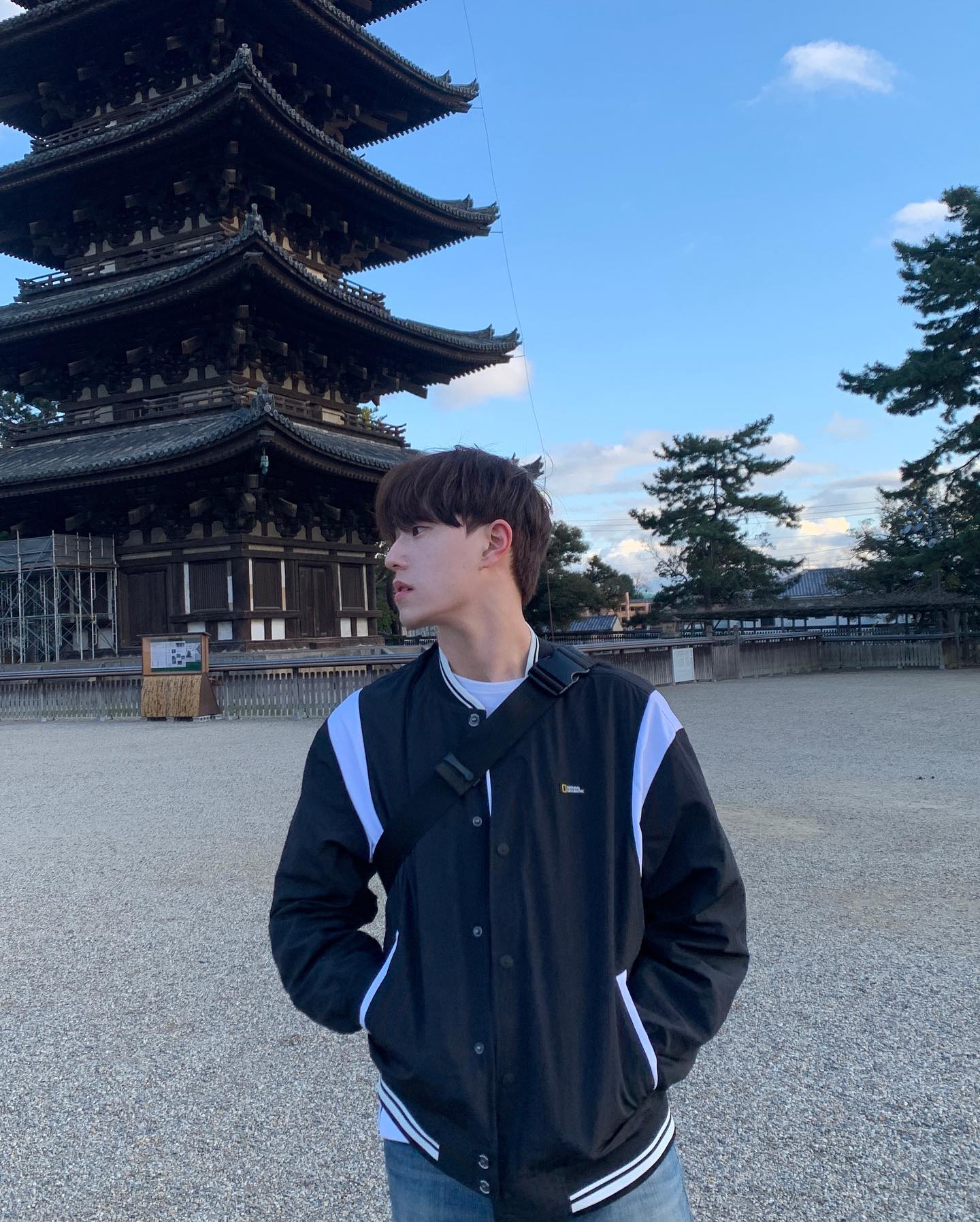 사슴이 길거리에 걸어다니는 지역은 처음이네..🫥🦌