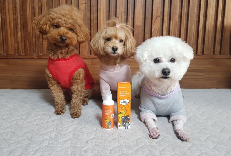 라미나로프 귀청소 귀 냄새 관리용 강아지 고양이 귀세정제