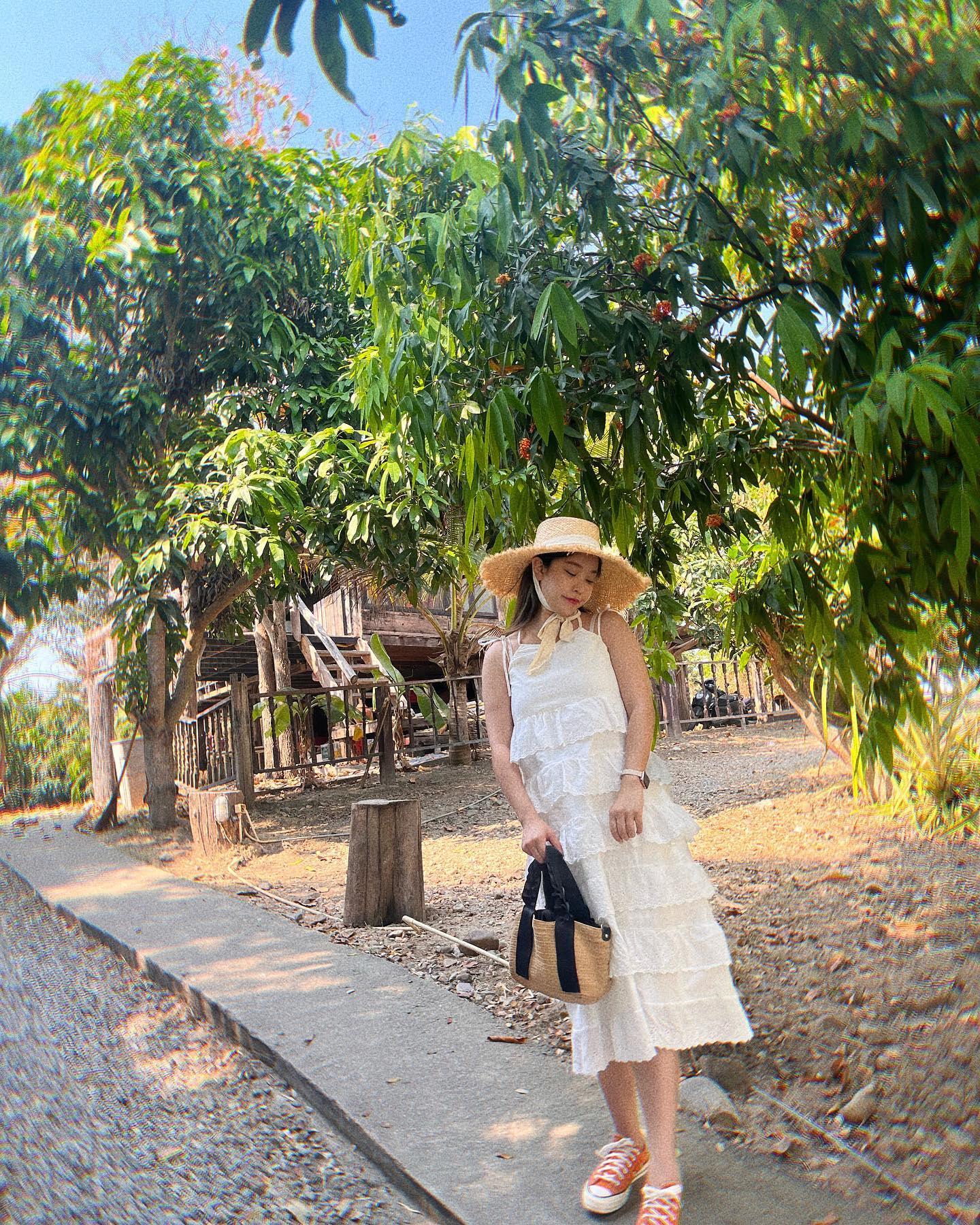 🌿🌿🌿
.
.
.
#yellni_🇹🇭 
#치앙마이#치앙마이여행#푸핀도이#치앙마이카페#Chiangmai