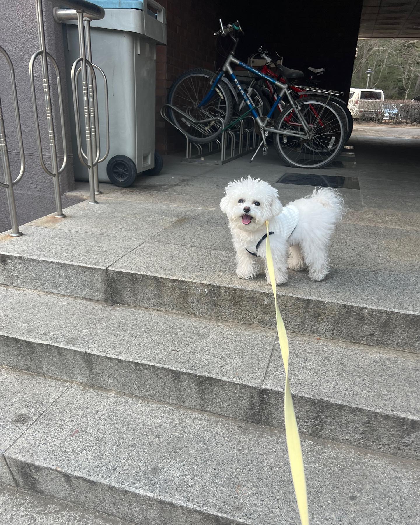 오늘은 롱이의 첫 생일이에요!

다름이 아니라 롱이는 평소에
좋아하는 음식, 옷, 산책을 잘 하는데

그렇지 못한 친구들도 있다는 걸 알고 
소액이지만 생일을 맞이해 친구들도 행복하기를 바라며 기부 했습니다.

댓글만 써도 기부가 된다 하니 스토리에 링크 올려둘게요 
같이 참여해주세요

감사합니다!