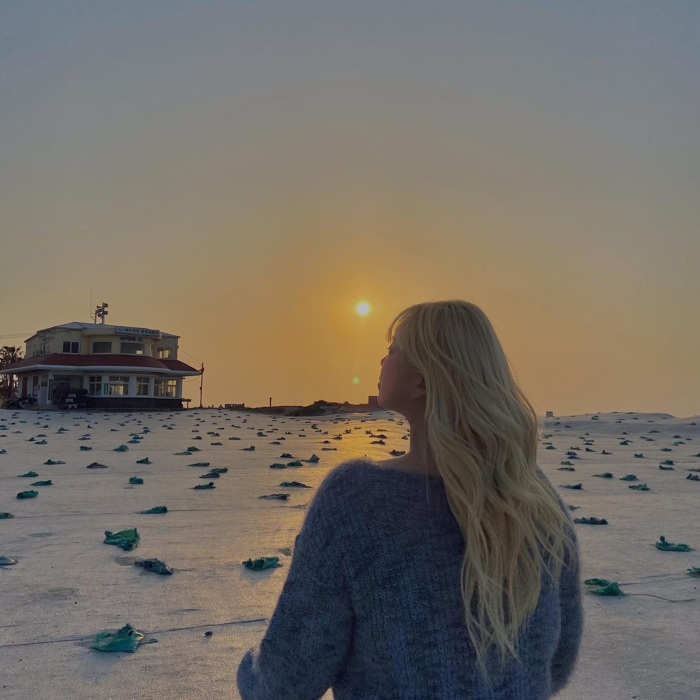 콘텐츠