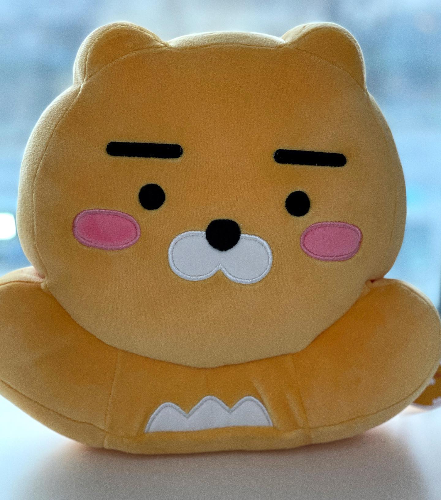 라이언 차량용 목쿠션🫶🏻

요새 카시트 태우면 울어서 혼자 운전해야할때 멘붕이 올것같아(안그래도 초보운전)뭐가 좋을까 고민하다 구입한 아이템!
완전 부들부들 말랑말랑🤍

엄마따라 아들도 라이언을 엄〰️청 좋아한다. 택배 뜯어서 보여주니 아주 웃고 좋아했다.🤣 
다음에 외출할때 헤드레스트에 설치(?)해봐야겠다! 

카시트 타면 라이언이 보이니 안울었으면 좋겠는데 과연 재이의 반응은 어떨지,,,?!🙏🏻