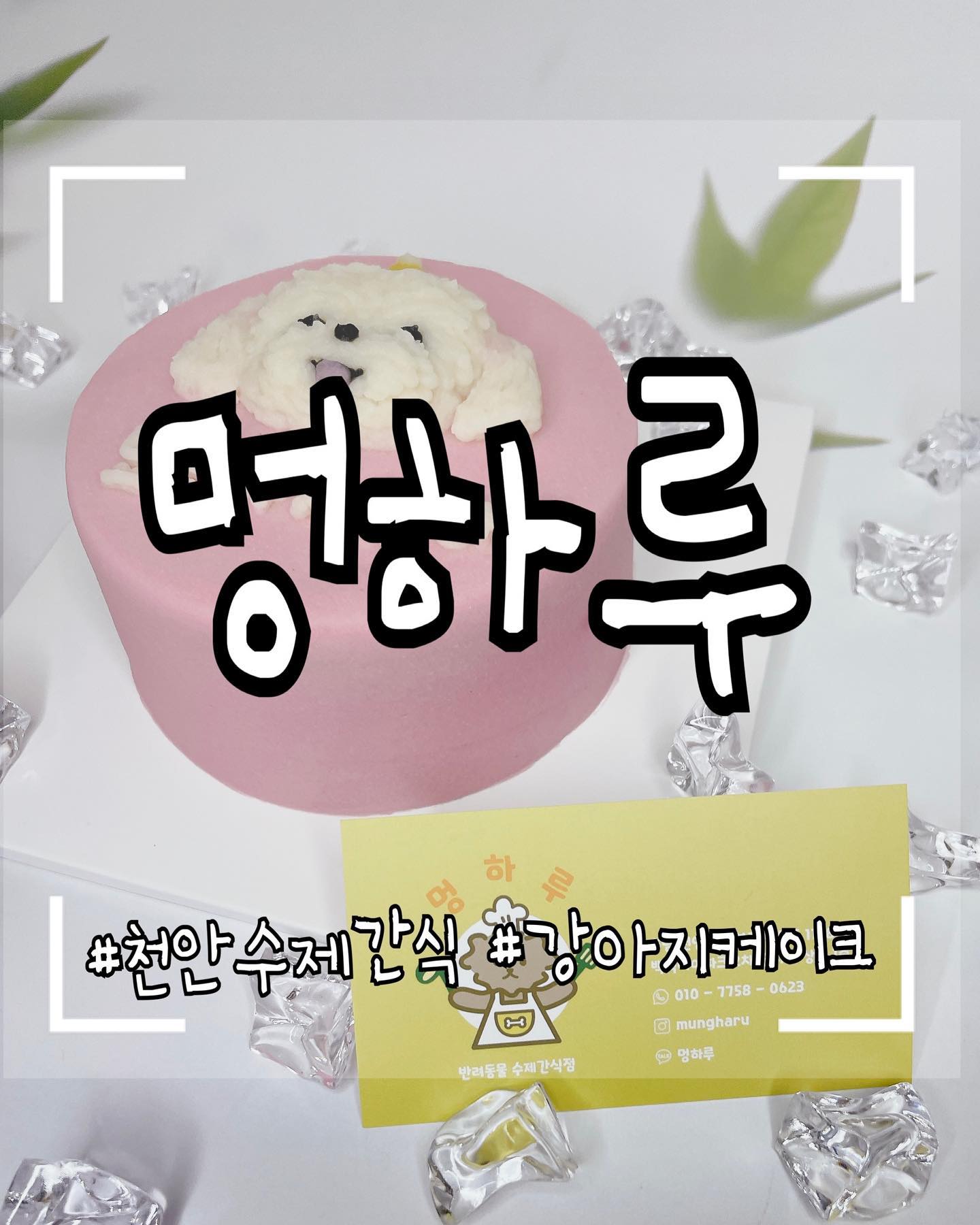 <멍하루 수제 강아지 케이크>
사장님께서 재료를 아낌없이 
넣고 만드신 케이크❤️
케이크 보고 너무 예뻐서 기절 할 뻔했네요^^
역시나 저희집 멍멍이들도 좋아하네요~
너무 예뻐서 먹기 아까웠지만!
멍멍이들이 맛있게 먹어서 뿌듯합니다^^
믿고 먹일 수 있는 
강아지 수제간식 멍하루🐶
오늘부터 단골1일🫶🏻 

#천안강아지수제간식 #천안강아지케이크 #강아지케이크 #멍하루 #수제간식 #강아지🐶 #친절한사장님👍 #단골1일차