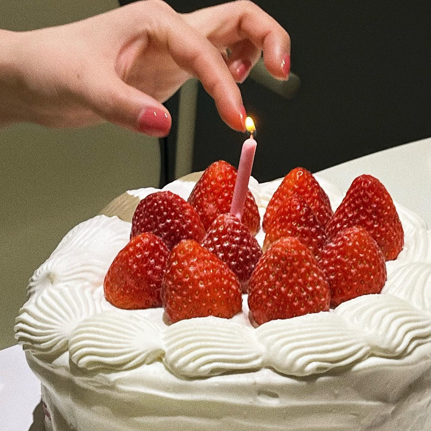 친구가 직접 만든 케이쿠🍰🍓
크림 너무 맛있구요,, 앞으로 팔아주셨음 좋겠어요,,
#카페얼바인 #사장님 #제발🙏🏻