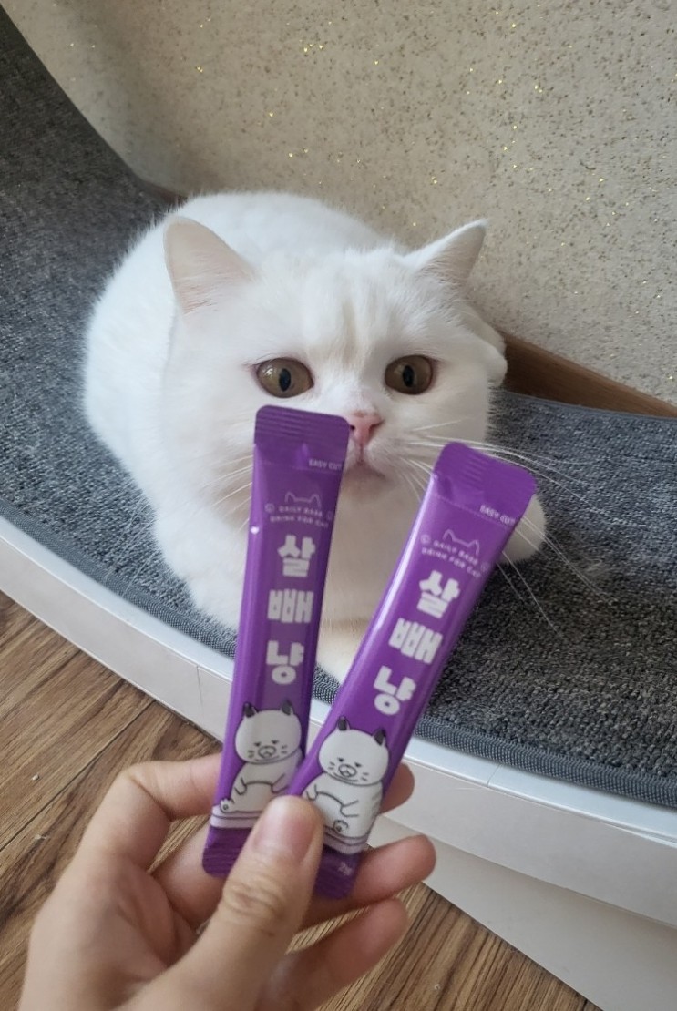 기호성 좋은 고양이 유산균 펫핏 살빼냥