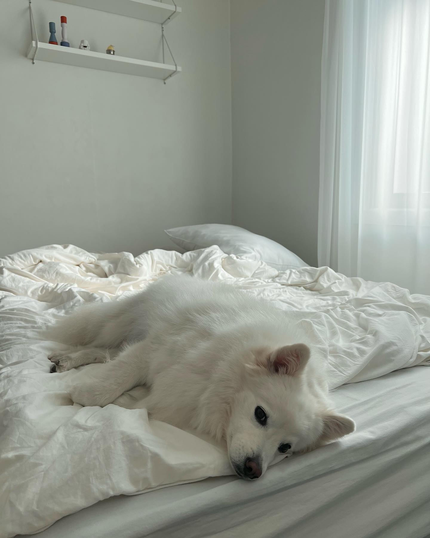 여전한 침대 붙박이☁️