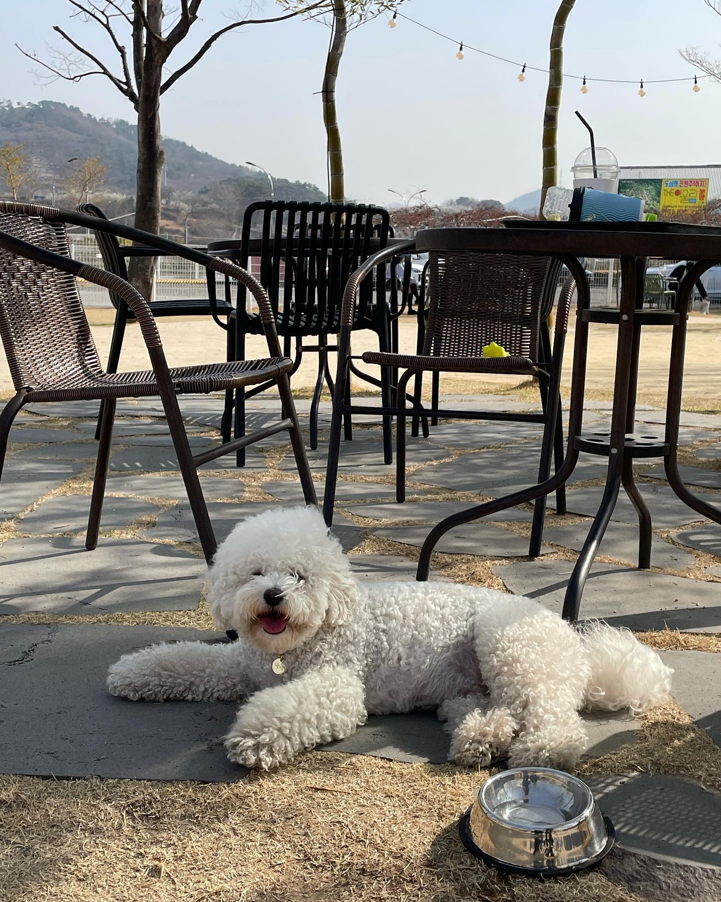 오늘도 열심히 뛰뛰 하구 왔오용 😖

cafe_thefield