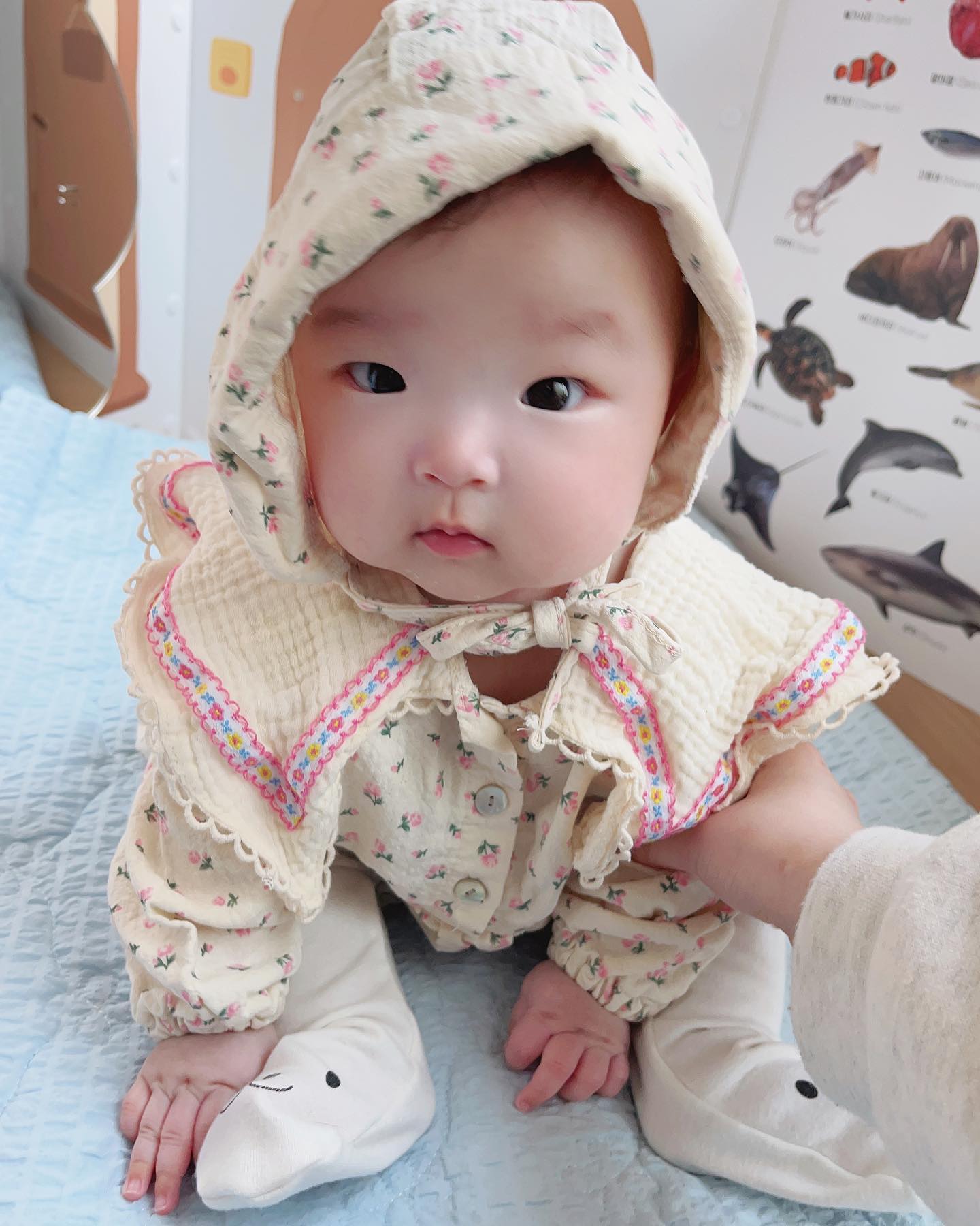D+156
쑥쑥커서 5개월되어버린 지율이💓