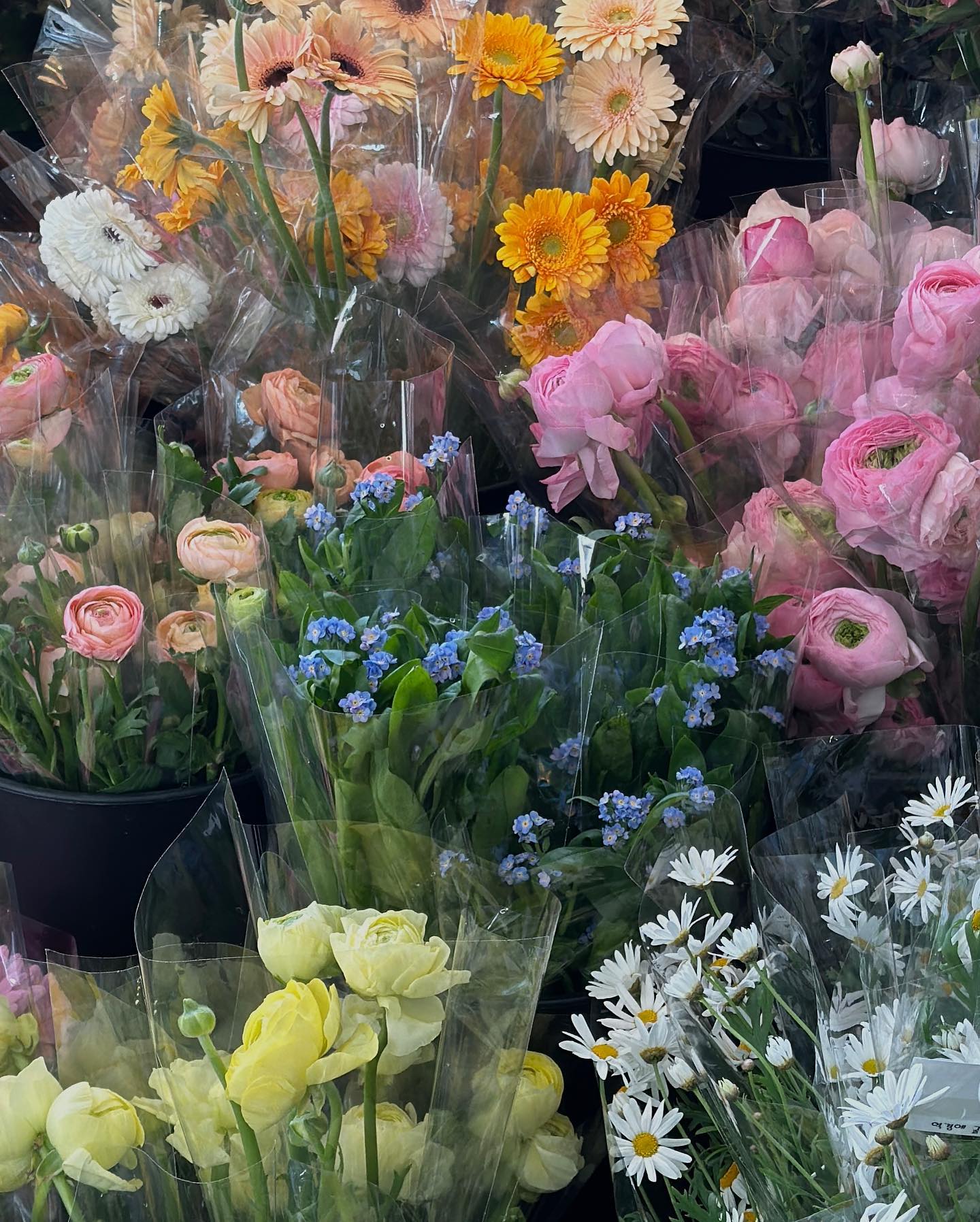 봄날🌹🌷💐🍷