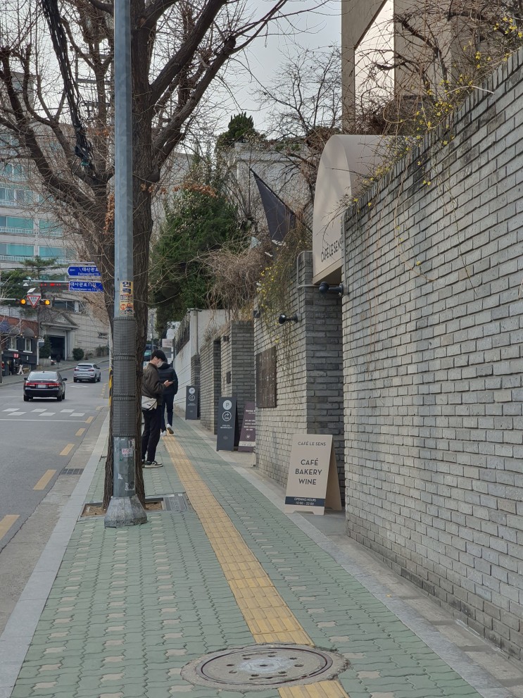 한남동 애견동반 가능한 카페 르상스 사운즈한남점에서 귀호강 후기