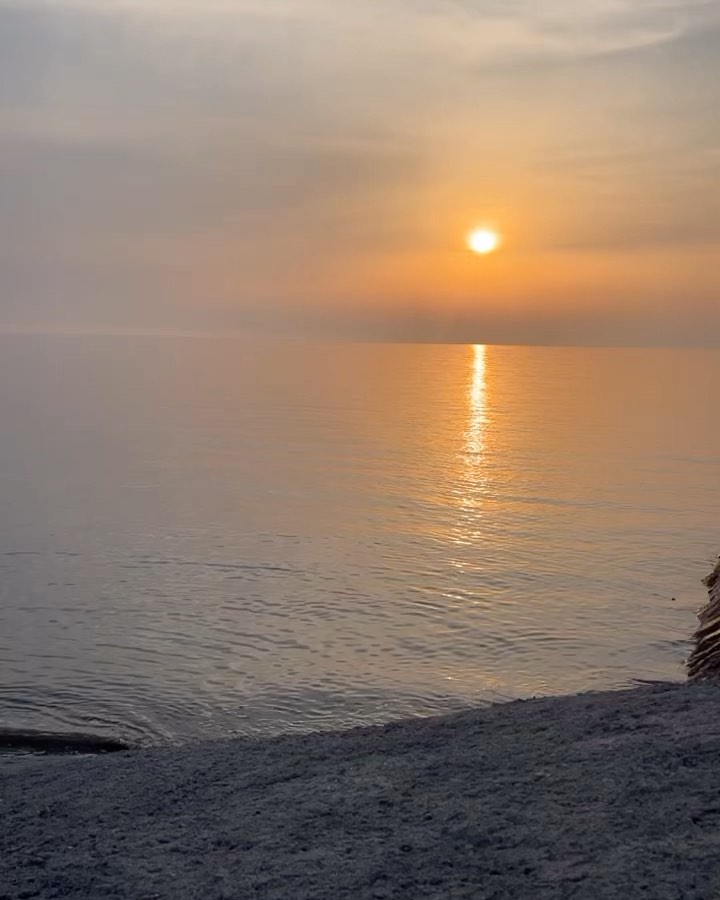 콘텐츠