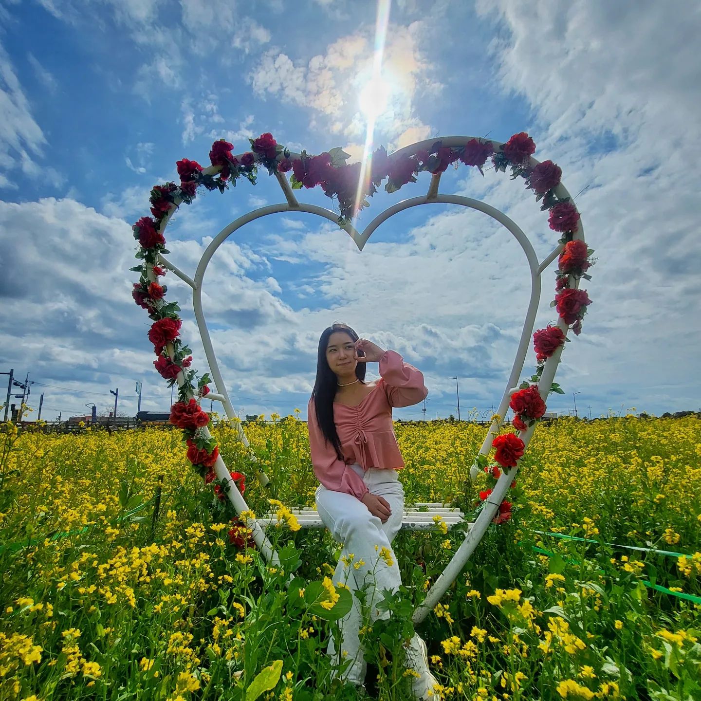 🌼🍋☀️🟡💛노란색꽃