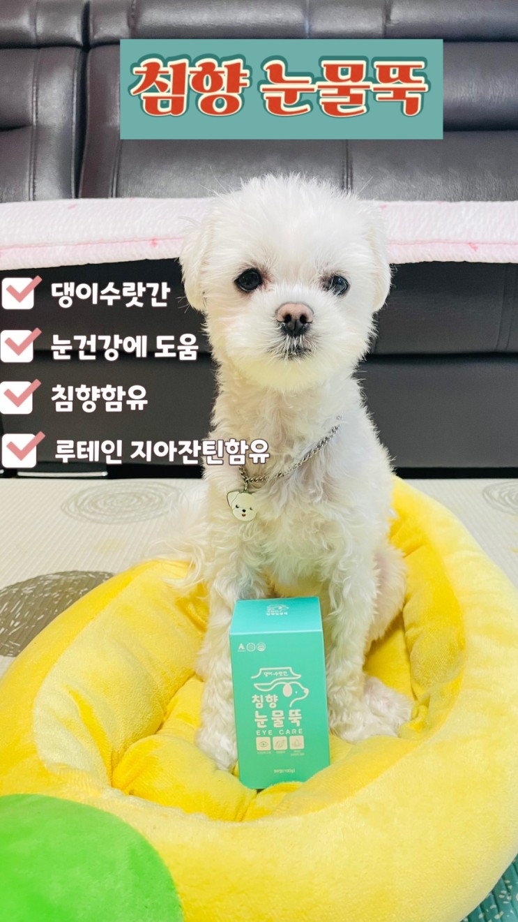 강아지눈영양제 댕이수랏간 눈물자국개선 침향눈물뚝