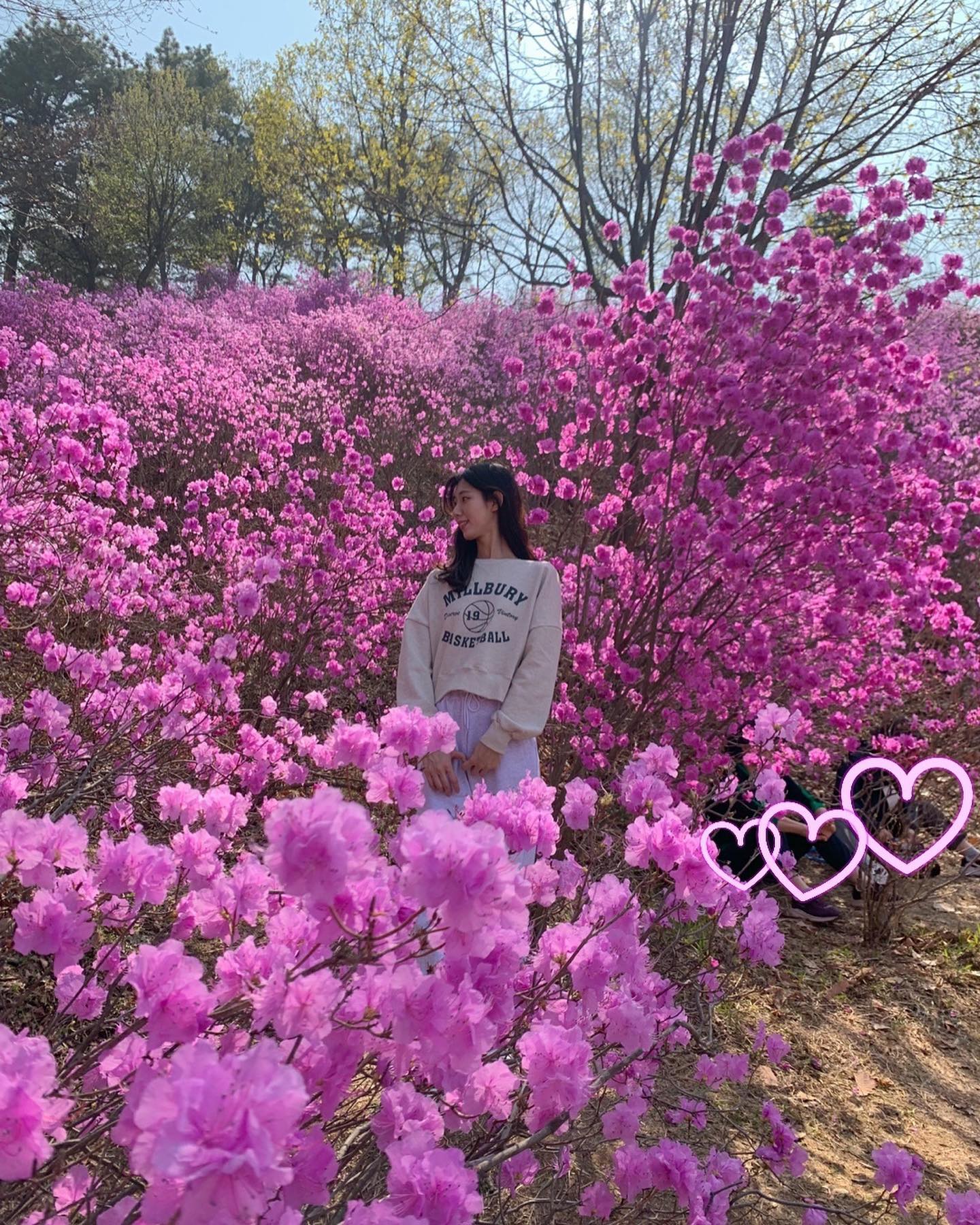 🌸원미산 진달래축제🌸

이렇게 많은 진달래는 처음인걸,,,,
부천 꽃구경은 원미산에서💫

(23.3.31)
금요일 오후인데도 사람이 생각보다 많았어요.  피크닉하는 분들이 계셔서 사진에 같이 나올 수 있는 점!
————————————————————

📍부천종합운동장 2번출구에서 걸어서 10분
📍주차장이 있지만 혼잡했어요
🔸이용금액 무료