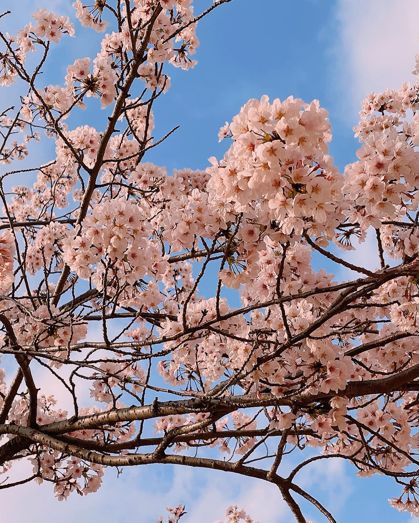 오후2시 부산