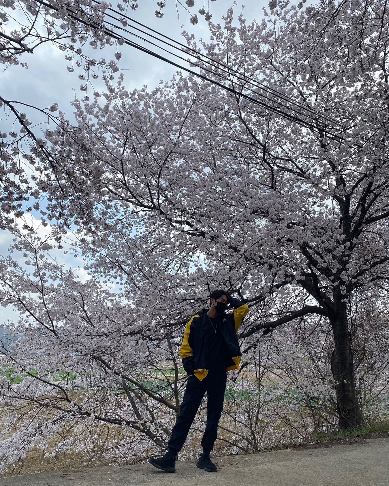 콘텐츠