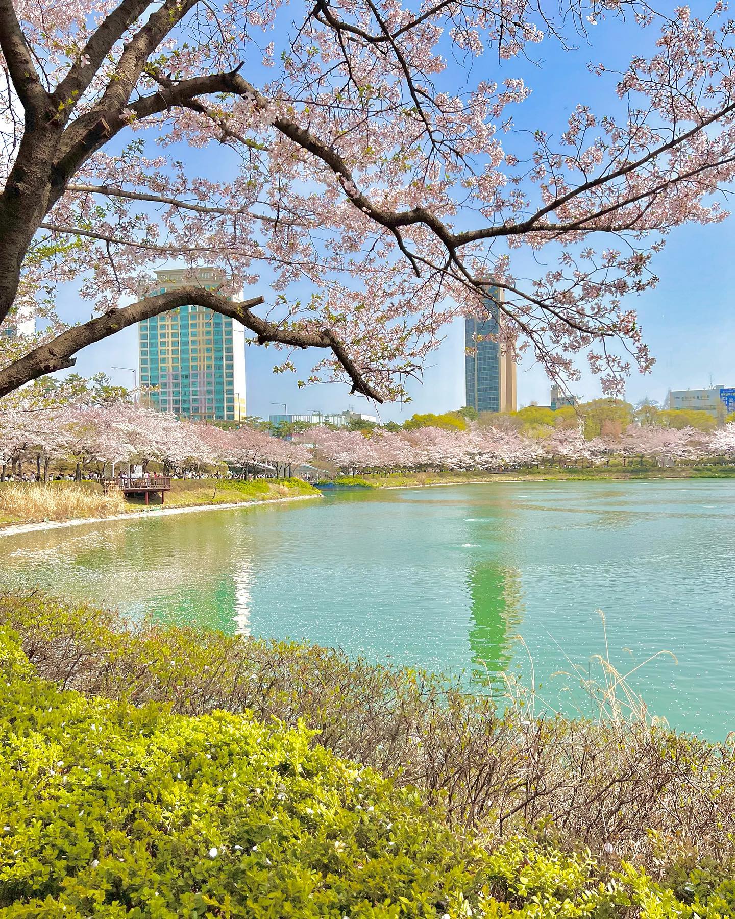 🌸

이번주말 꼭 가야할 석촌호수 ᰔᩚ

⠀⠀⠀⠀⠀⠀⠀⠀⠀⠀⠀⠀⠀⠀⠀⠀⠀