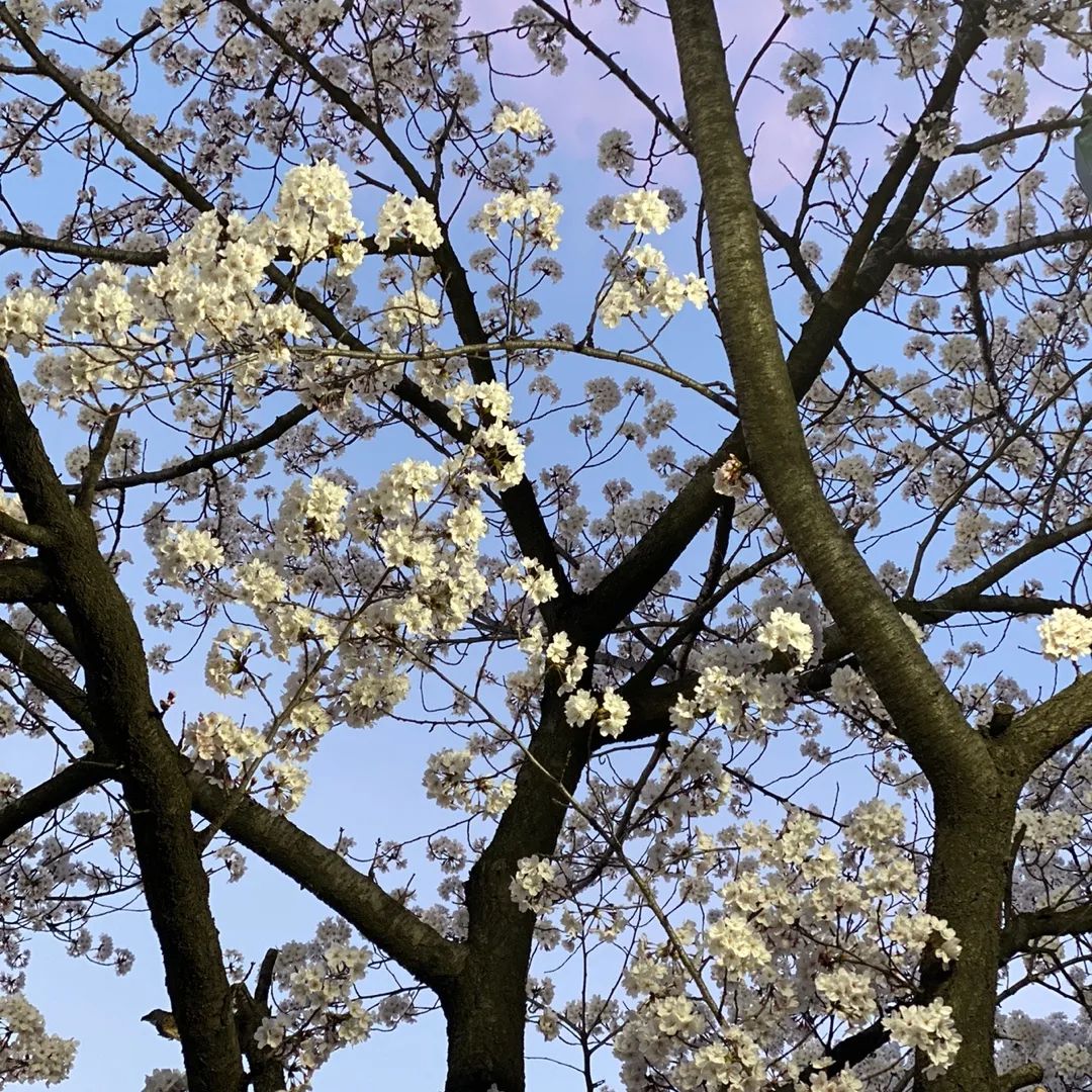 3월의 노란 구슬을 모아모아•••💛🫶🏻💛🫶🏻