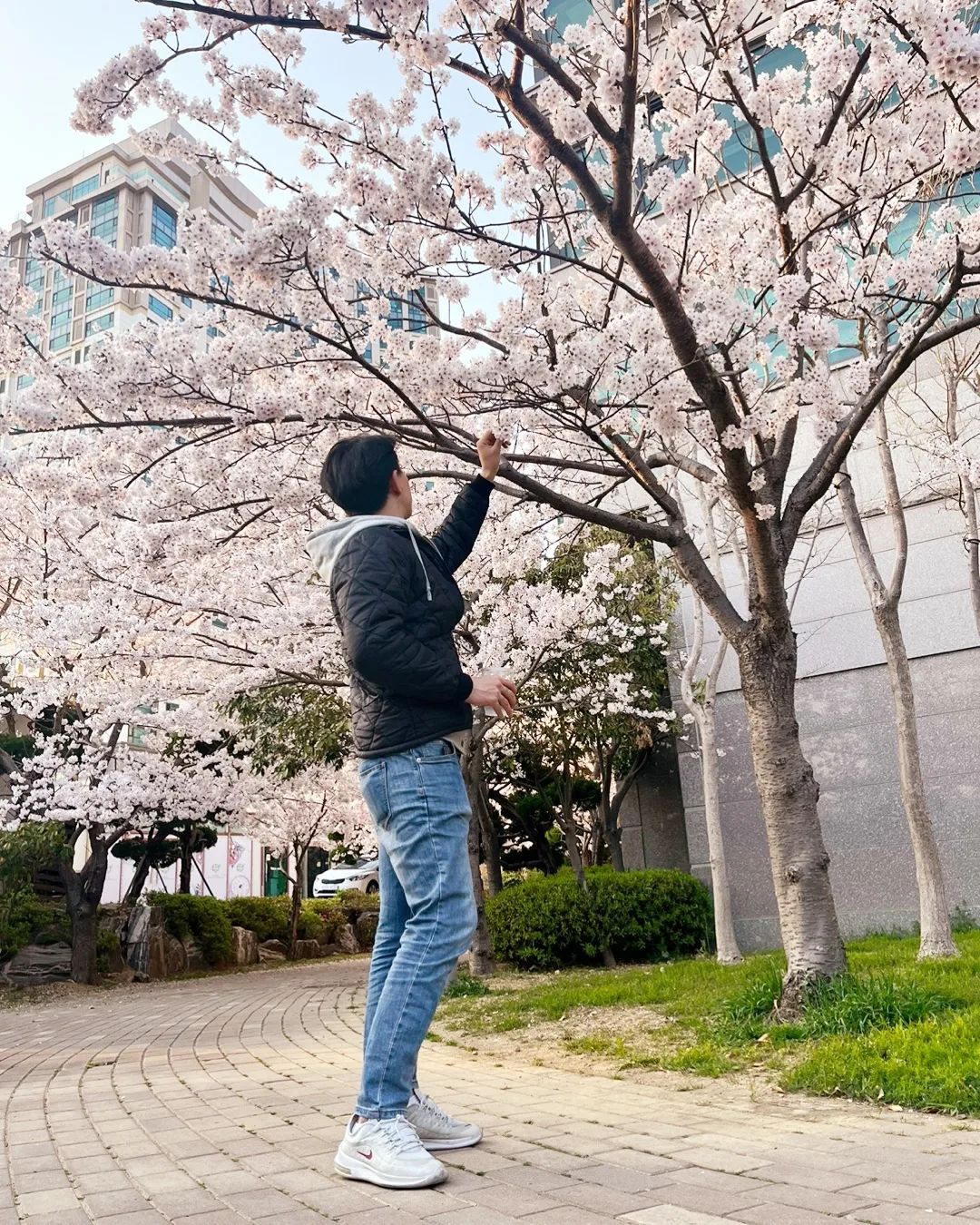 봄이 그렇게도 좋냐 멍청이들아 🎶 
.
.
.
.
.
#벚꽃 #봄