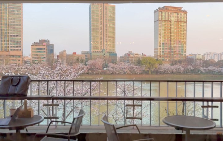 석촌호수 벚꽃 명당 알려드려요🌸

낮에도 밤에도 항상 예쁜 석촌호수뷰 카페인데요
낮에는 핑크빛 벚꽃이, 저녁에는 조명으로 예뻐진 벚꽃이
반겨주는 곳이예요!

석촌호수로 벚꽃구경 가실분들은
JBOUT 카페 2층으로 가셔서 자리 잡으시길😉

🏷️ JBOUT COFFEE
📍 서울 송파구 송파나루길 206
⏰ 운영시간 매일 10시 ~ 22시 
✔️ 1층은 레스토랑&음료 2층은 카페로 운영됩니다
 
 
#트래블로미_서울
#잠실벚꽃 #석촌호수벚꽃 #벚꽃카페 #jbout