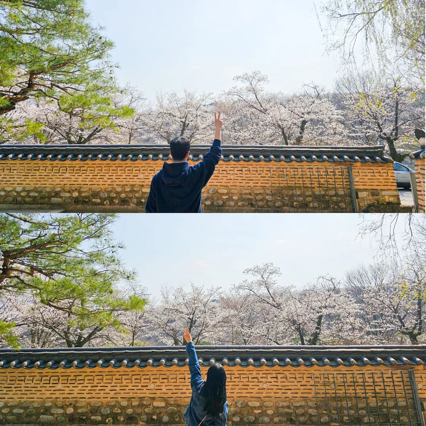 🩷봄🩷

아이스박스에 맥주 담아서 
집근처 벚꽃 피크닉 즐기기🌸🩷
 
운좋게 당일 예약 성공!
생각보다 사람도 없어서 
여유로운 주말즐기기ღ'ᴗ'ღ

#신혼부부 #신혼부부일상 #주말 
#신혼부부데이트 #피크닉
