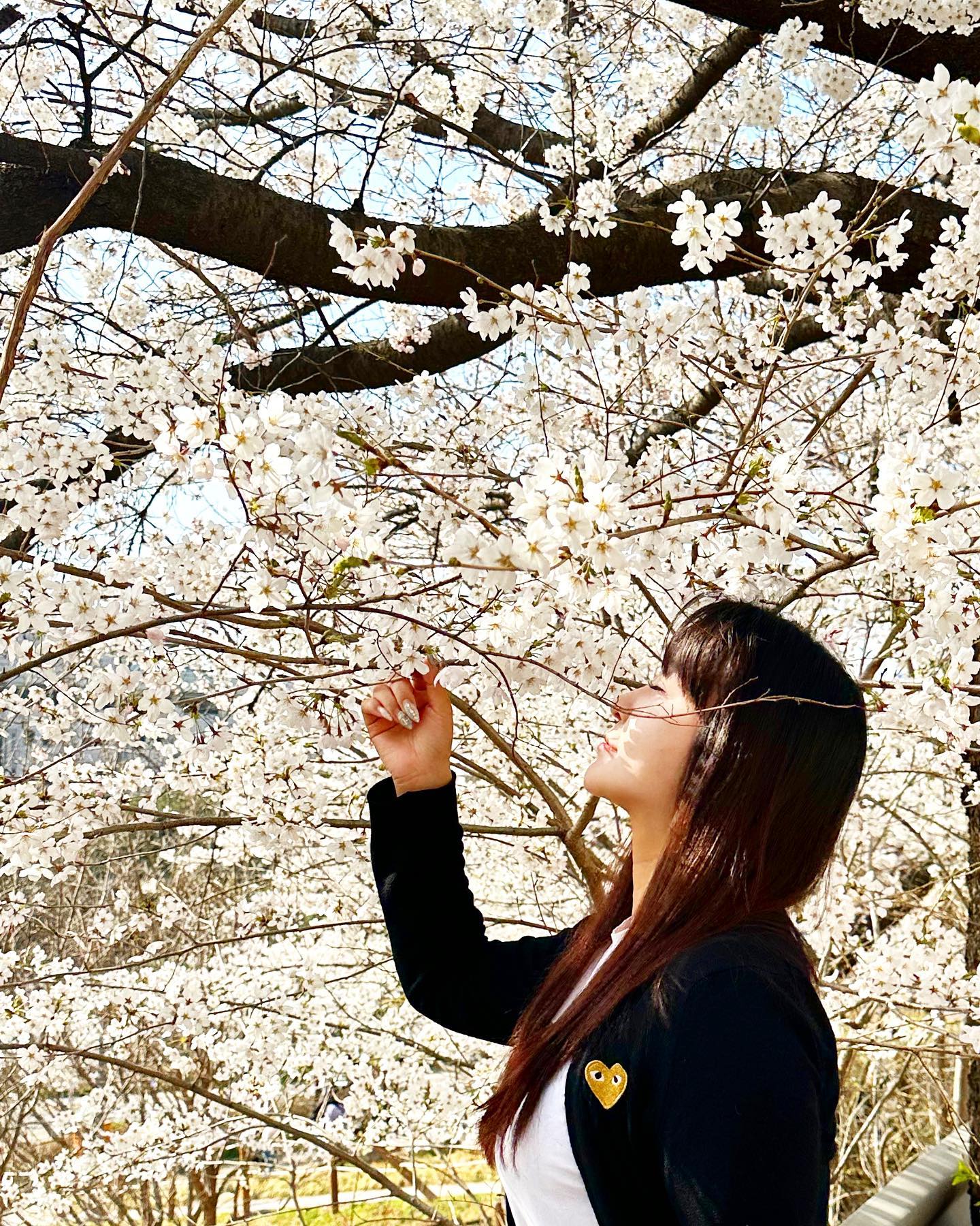 🌸🍃 
·
·
·
·
·
#리융스타그램 #벚꽃 #벚꽃명소 #l4l😍 
#sakura #전신샷 #selfie #selca