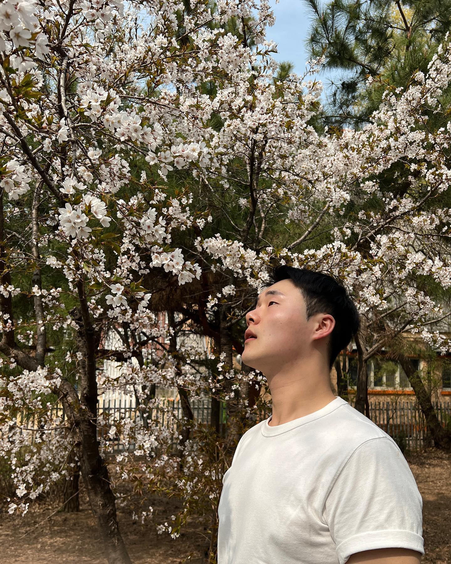 🌸나도 벚꽃 구경~