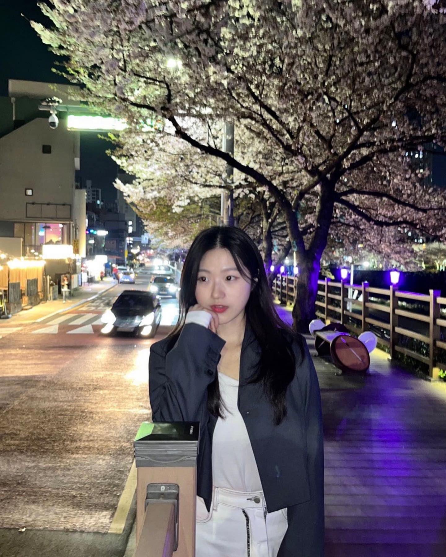 올해 벚꽃뽕뽑아찌롱
