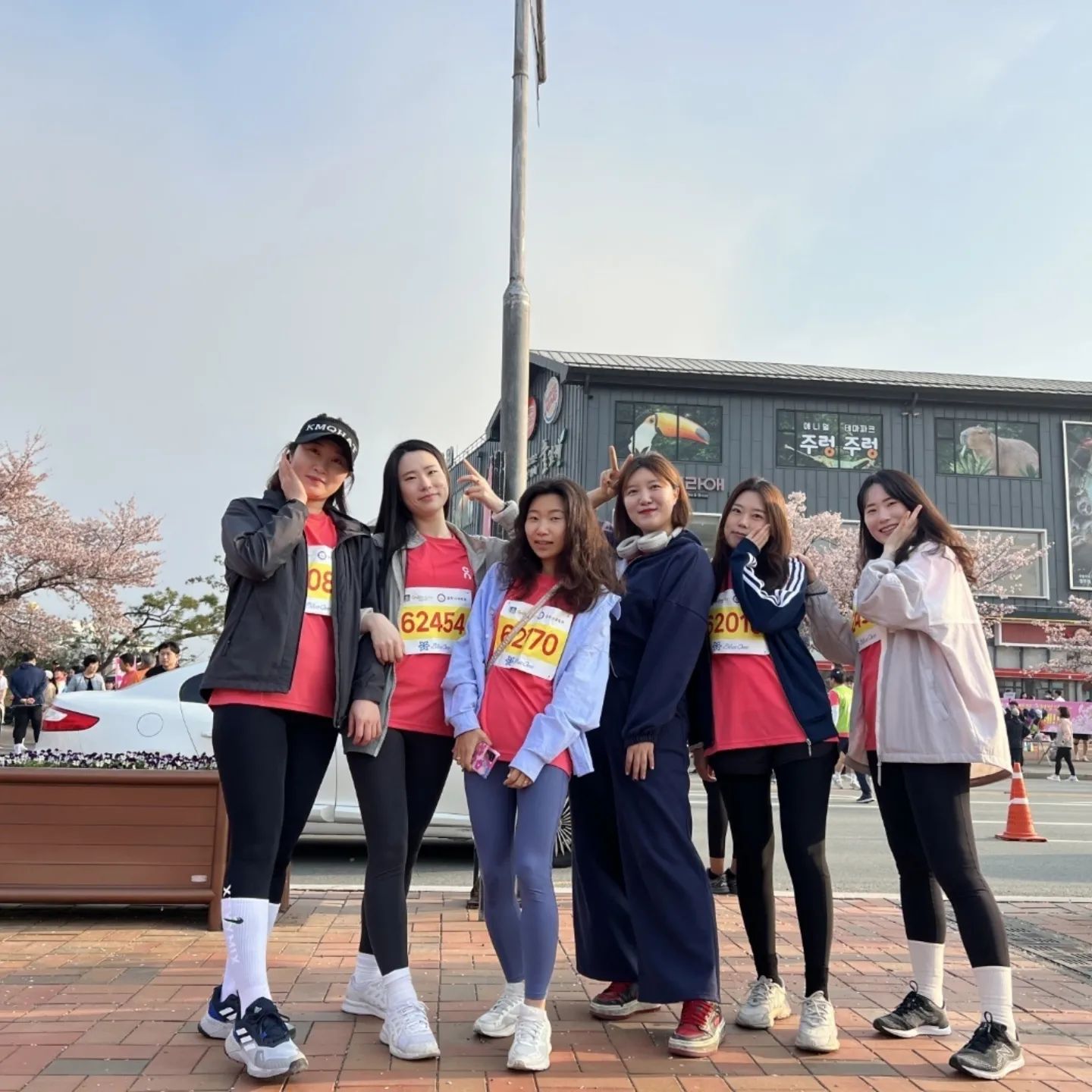콧바람 쐬러~
아침 일찍 마실 다녀 옴

#경주벚꽃 #경주벚꽃마라톤 #경주핫플 #경주보문단지맛집 #함양집보불로점 #주말일상기록