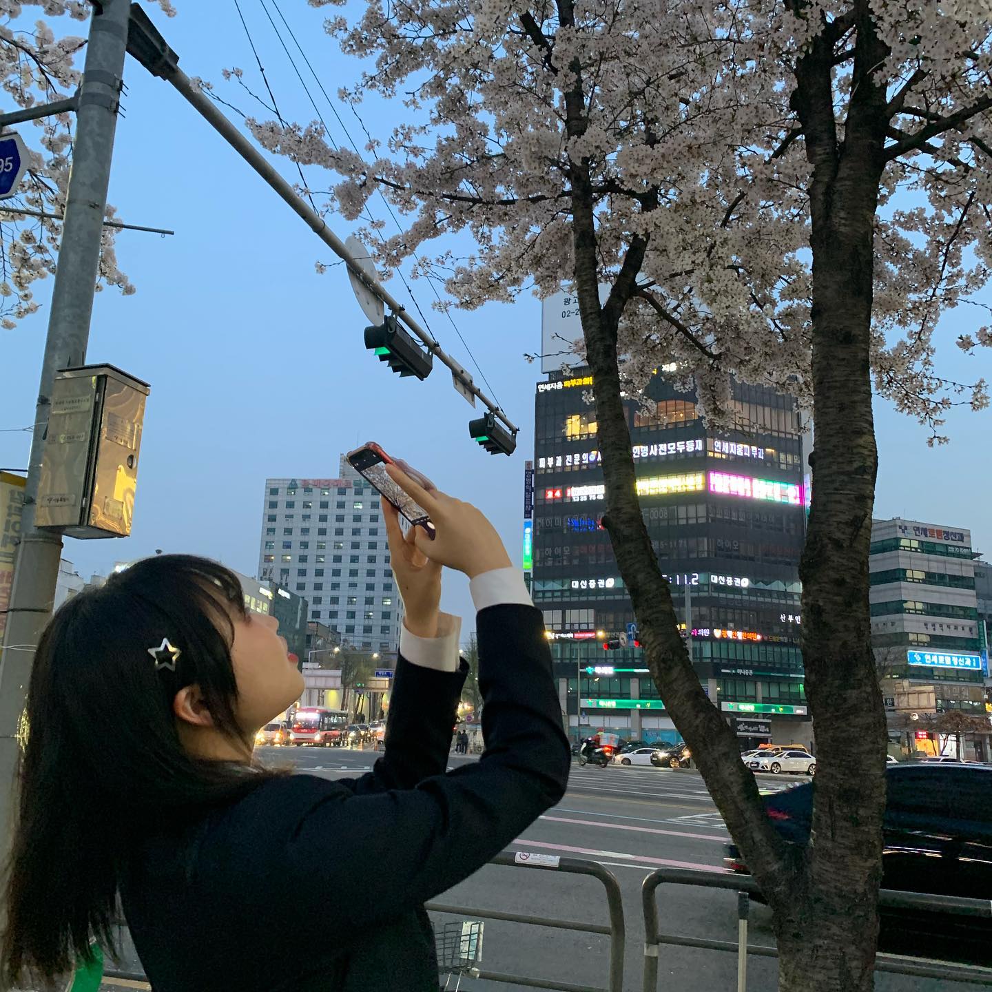 새로운 시골이 이렇게 반짝거리나✨